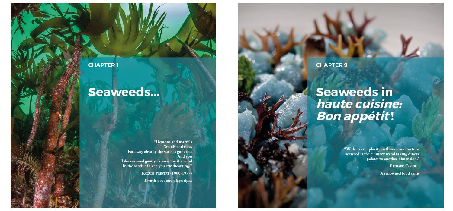 ‘¿Las algas se comen?’ gana en España el ‘International Gourmand Cookbook Awards’ en mejor traducción