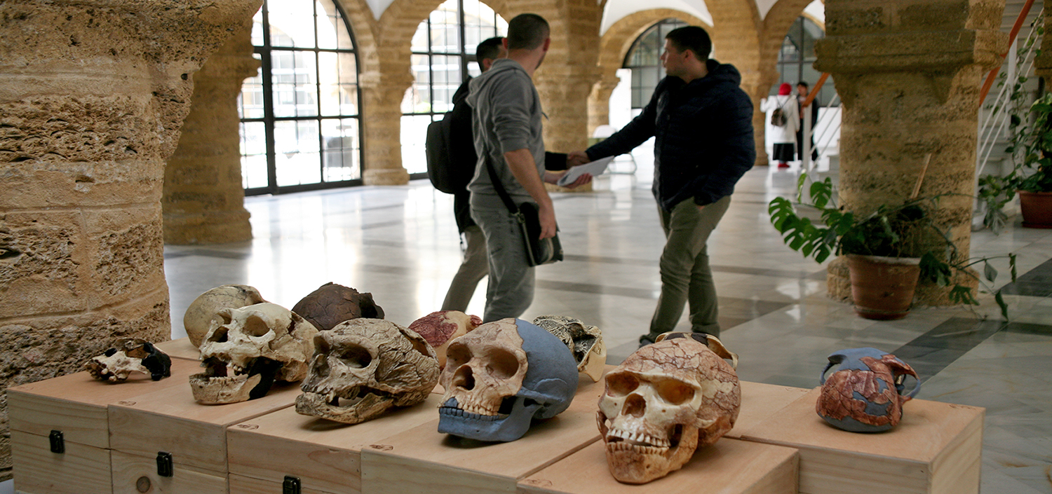 El Laboratorio de Arqueología y Prehistoria (LABAP) de la UCA expone sus colecciones de referencia