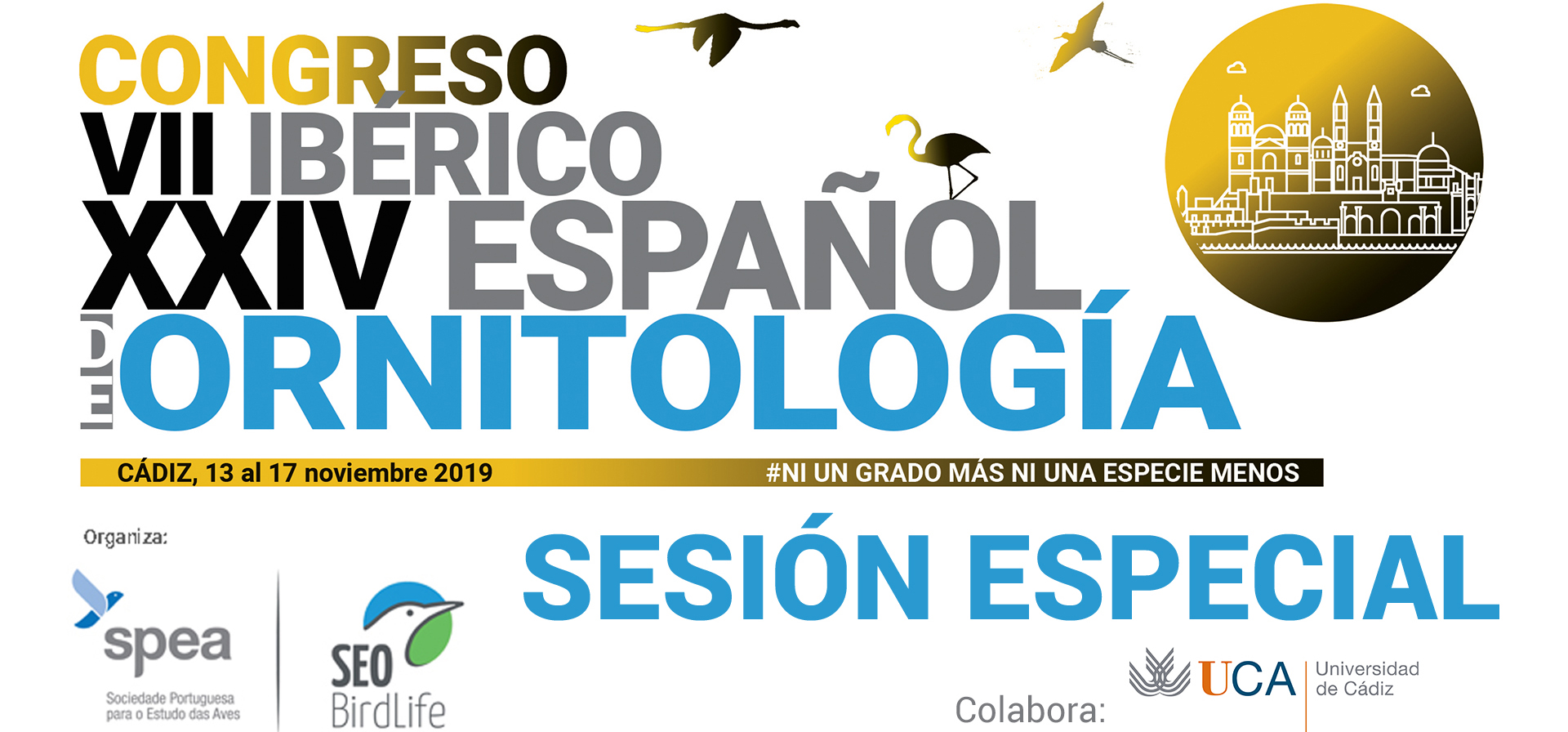 Sesión “Jóvenes para la ciencia ciudadana” en el Congreso Ibérico-Español de Ornitología