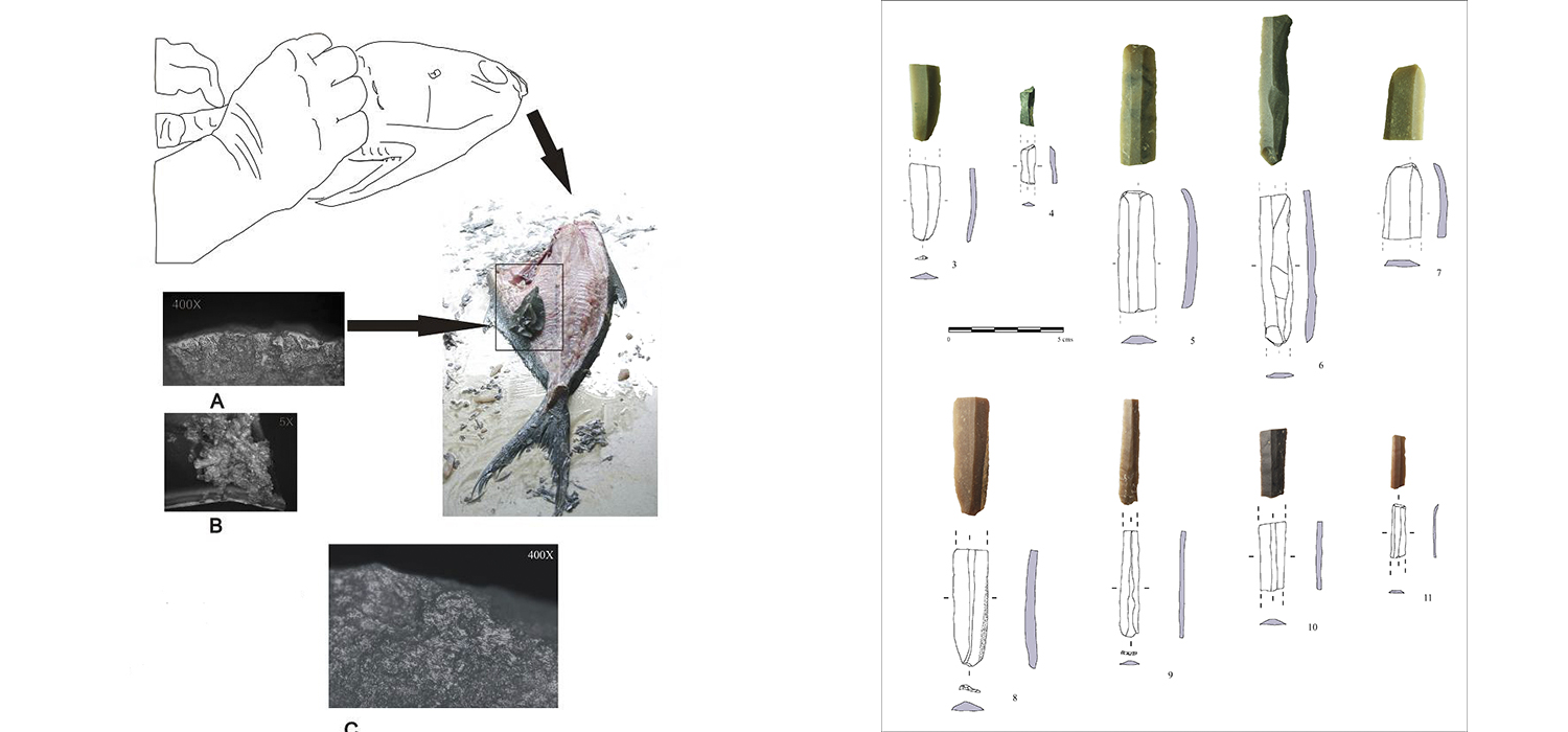 La UCA participa en un estudio donde se demuestra que hace 5.000 años ya se procesaba el pescado en la costa atlántica gaditana