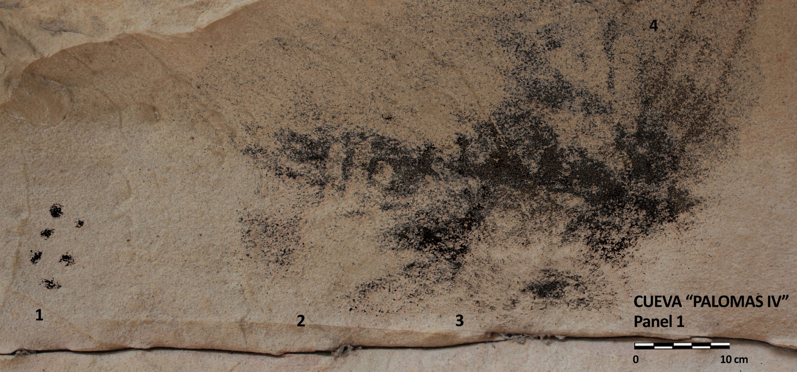 Investigadores de la UCA publican nuevos motivos paleolíticos de arte rupestre en el Campo de Gibraltar 