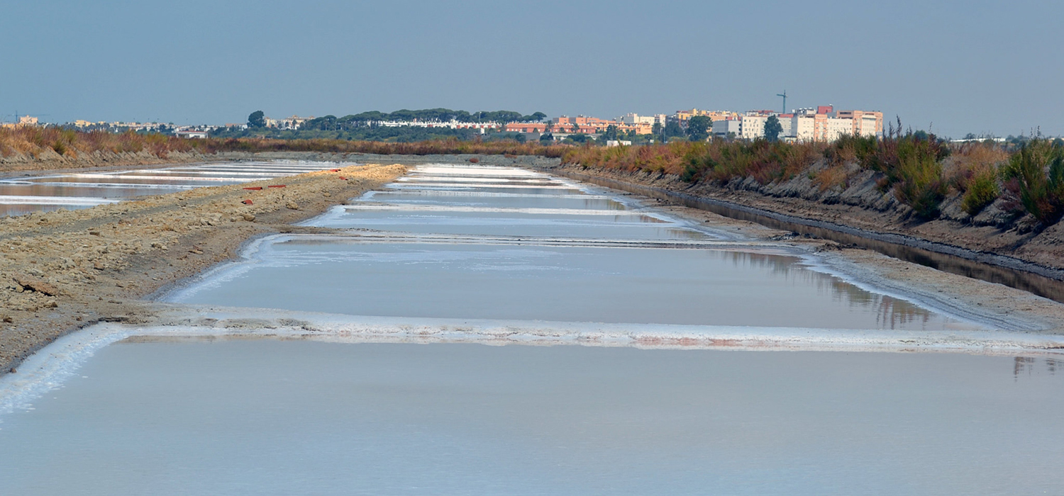 Jornada ‘Las oportunidades de la economía azul en humedales: caso concreto de las marismas de la Bahía de Cádiz’
