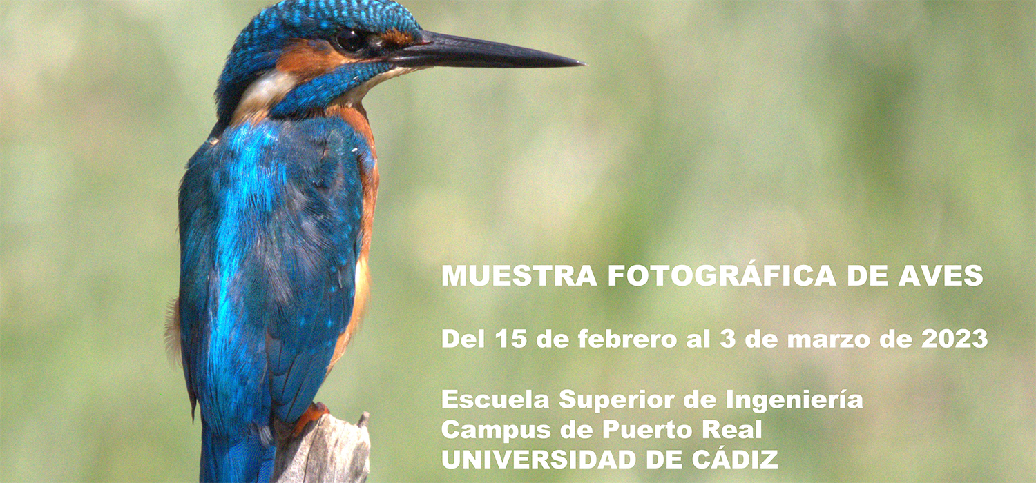 El Campus de Puerto Real acoge la muestra fotográfica AVES