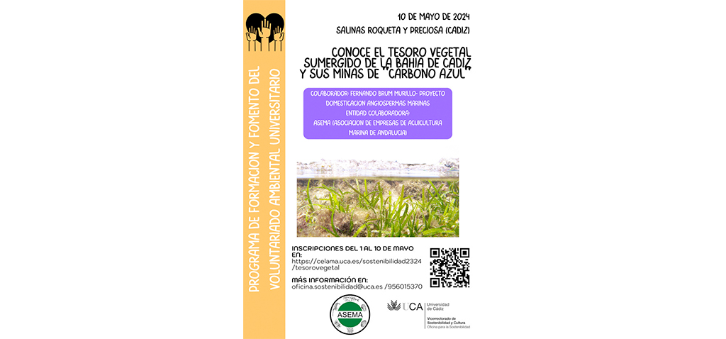 La UCA organiza la jornada ‘Conoce el tesoro vegetal sumergido de la Bahía de Cádiz y sus minas de carbono azul’