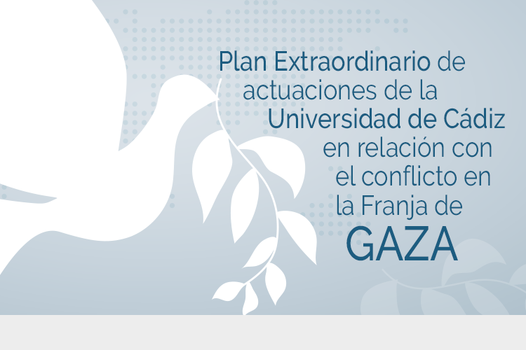 IMG Plan Extraordinario Franja de Gaza