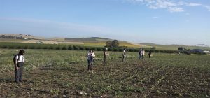 Investigadores de la UCA localizan en el valle del Río Guadalete 57 yacimientos inéditos de época...