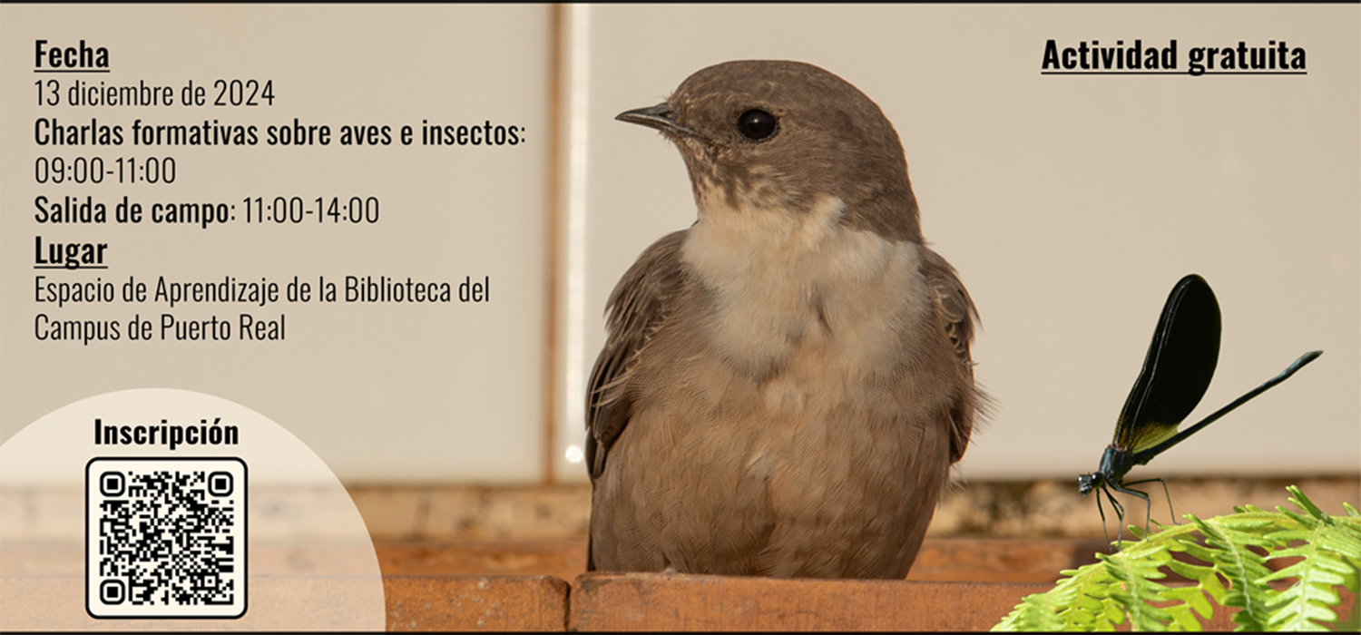 Jornada de sensibilización ambiental ‘Aves migratorias e insectos’