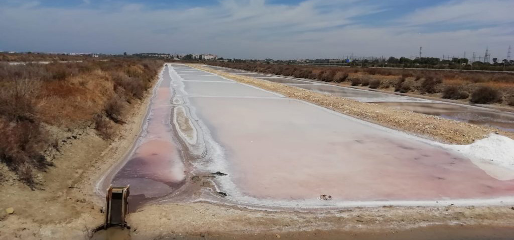 La UCA celebra la primera Jornada de Puertas Abiertas de las salinas La Esperanza en 2025